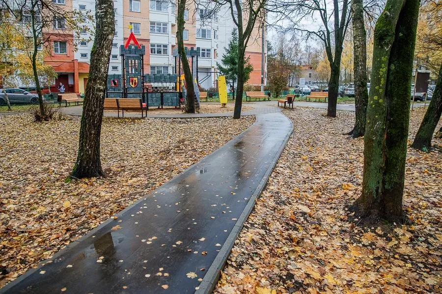 Источник: пресс-служба администрации Одинцовского округа