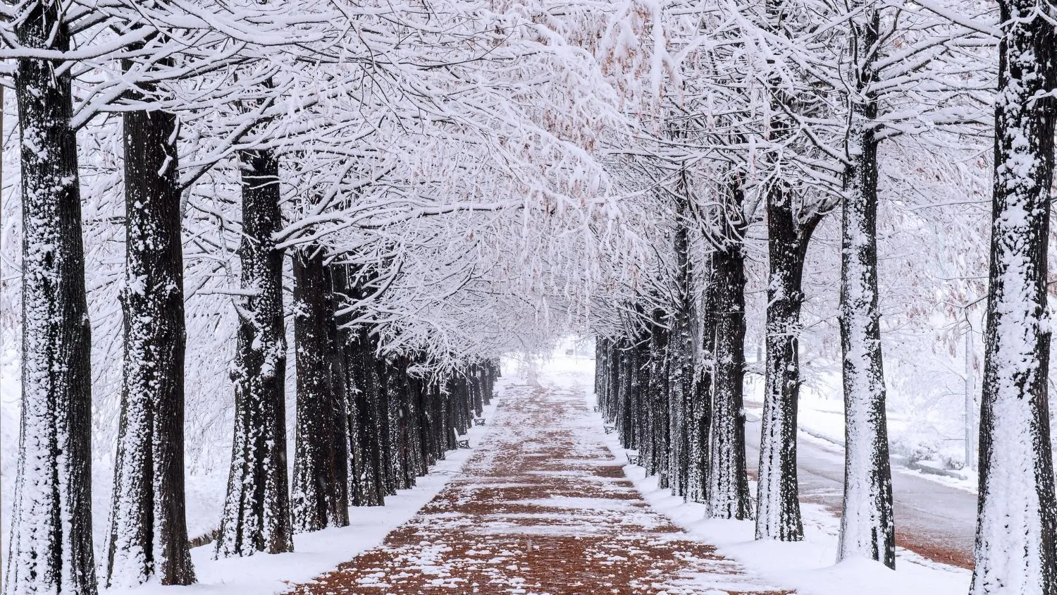 медиасток.рф