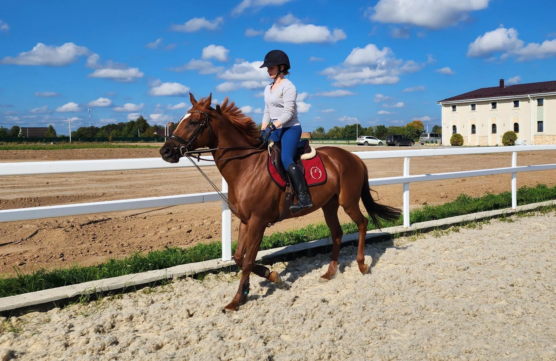Фото: Андрей Семибратов
