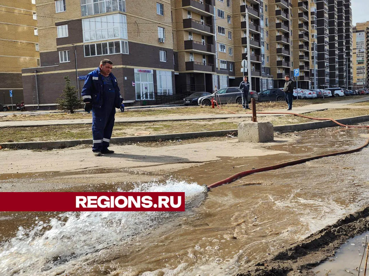 Фото: Валерия Тингаева