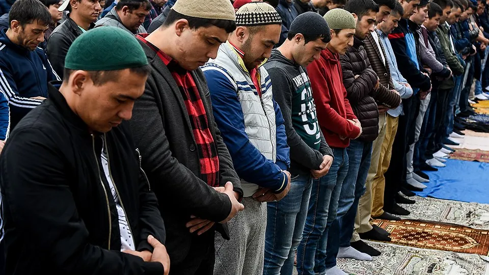 Фото: Медиаархив Подмосковья