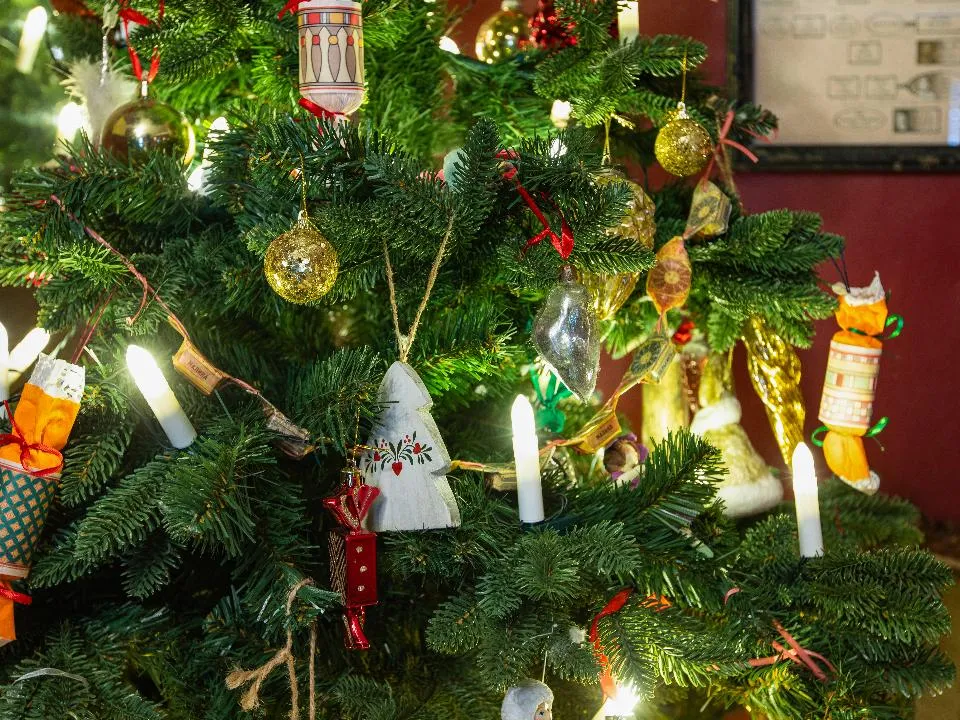 Врач из Красногорска рассказала, как защитить себя от аллергии во время празднования Нового года