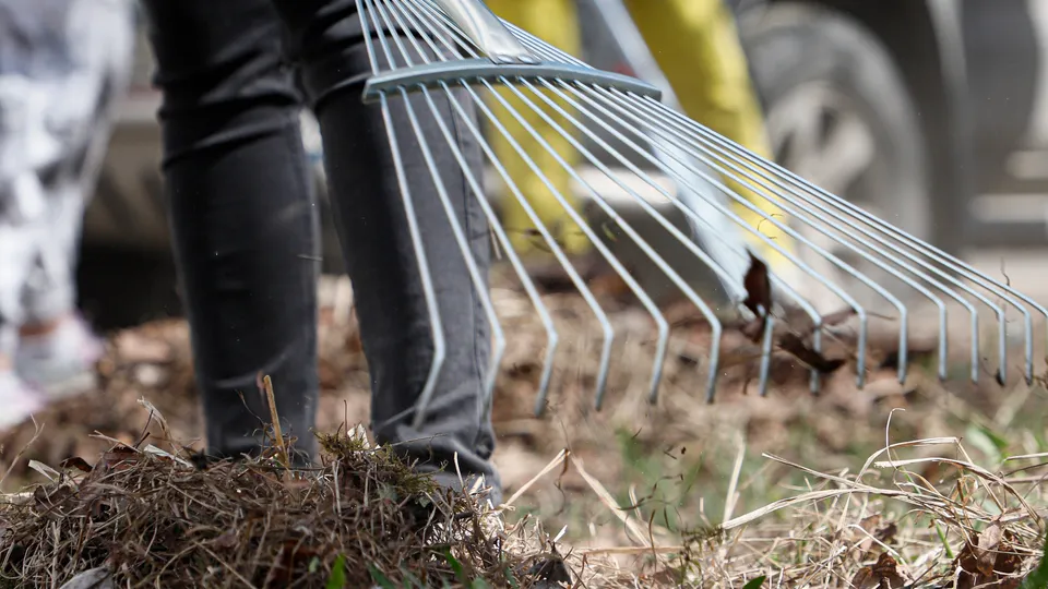 Фото: REGIONS/Наталия Надточая