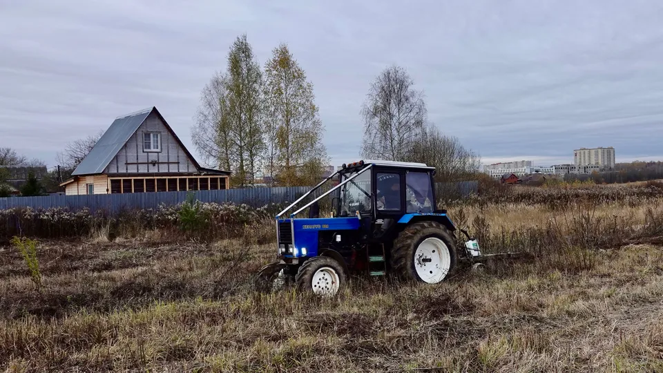Фото: Дарья Леонова