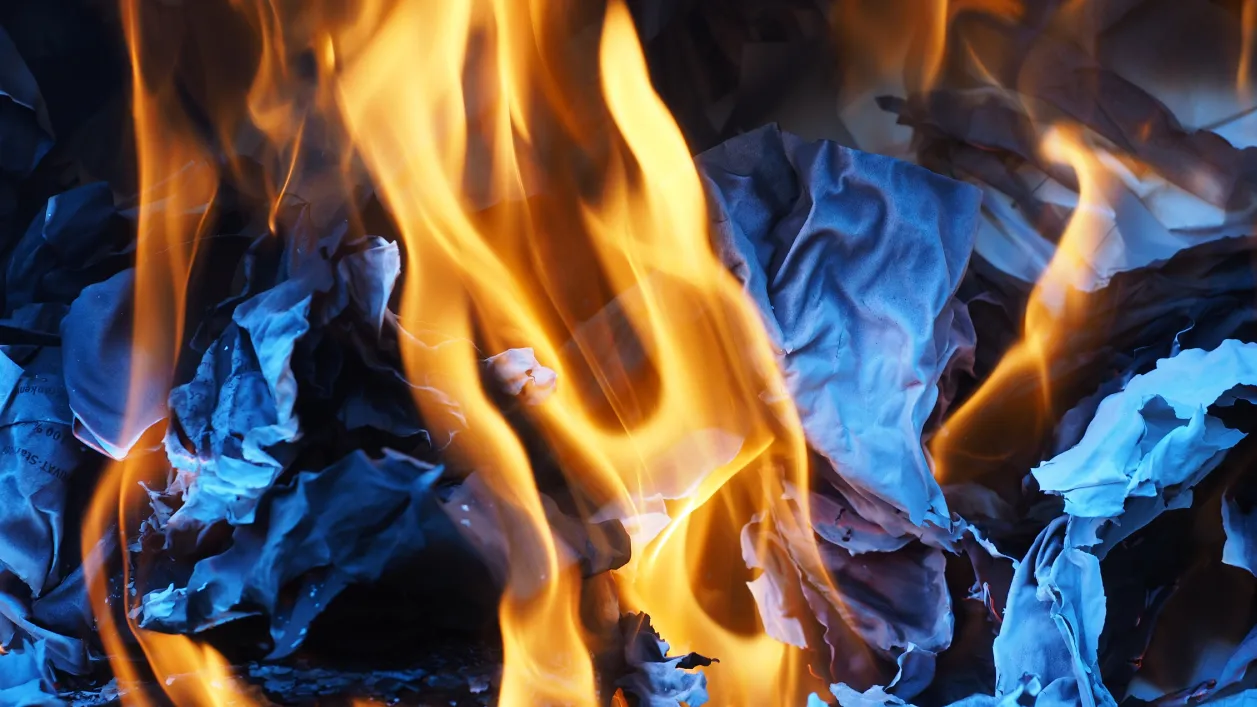 Фото: pxhere.com