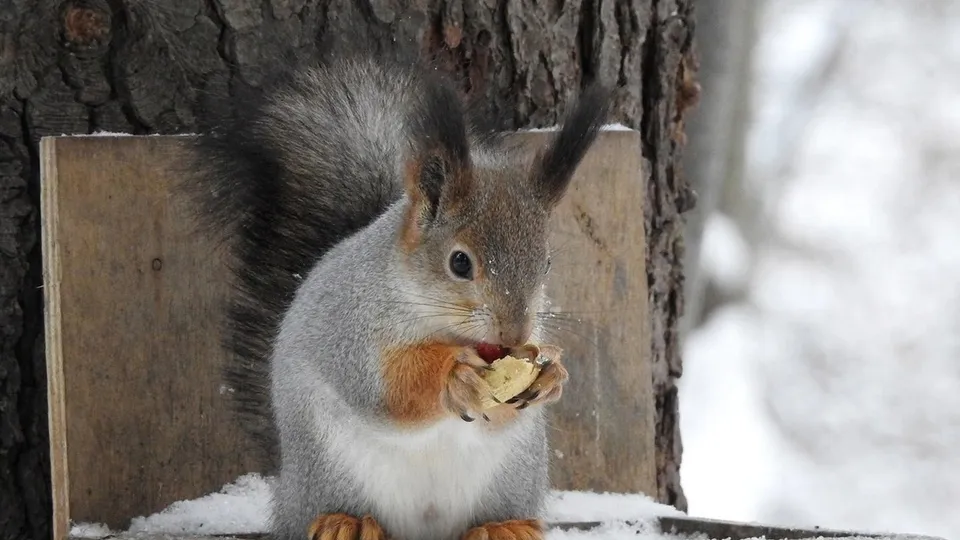 Фото: Юлия Бондарева