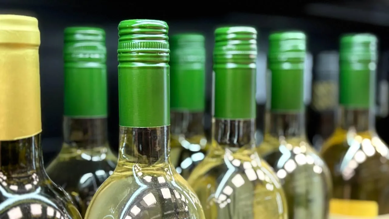 REGIONS/Крачун Полина