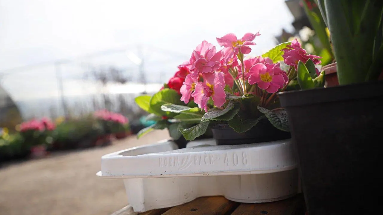 REGIONS/Наталья Надточая