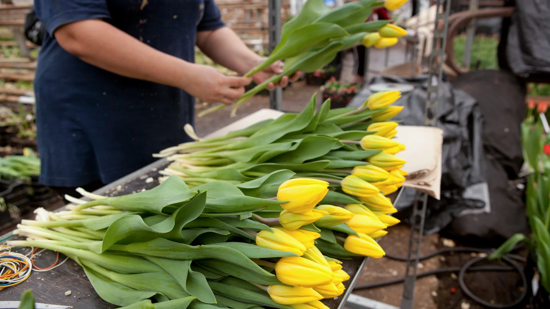 медиасток.рф