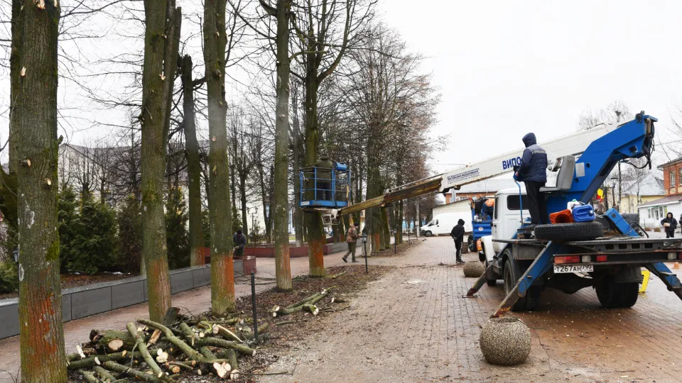 Фото: МедиаБанк Подмосковья/Владимир Останин
