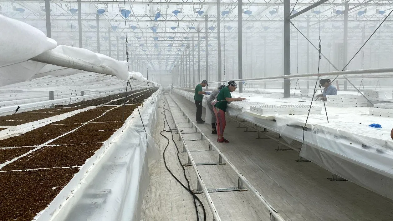 Фото: Светлана Плотникова