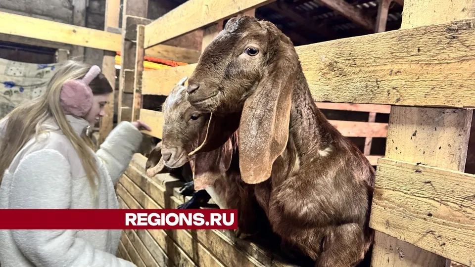 Фото: Татьяна Рунова