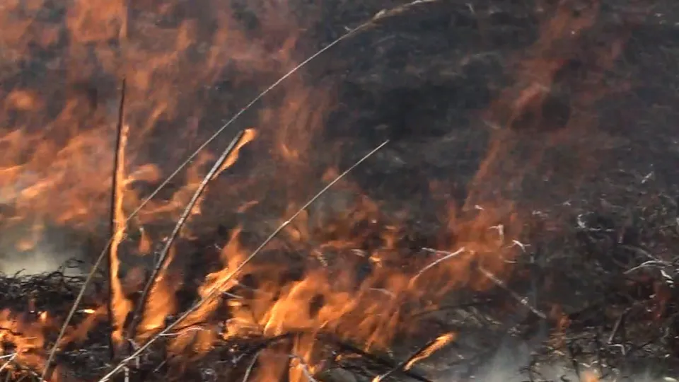 Фото: REGIONS/Наталия Надточая