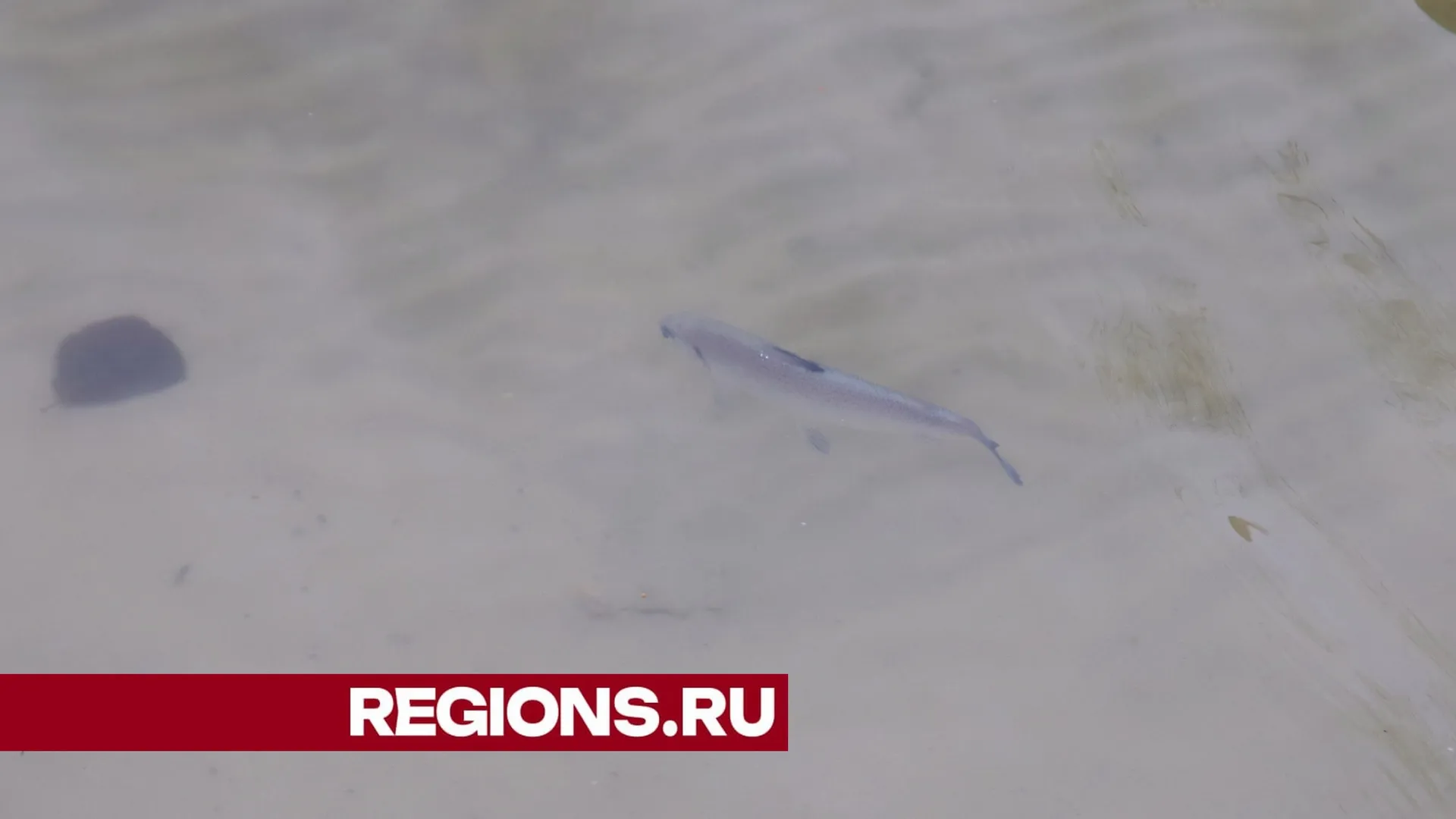 Фото Александра Дрожжина