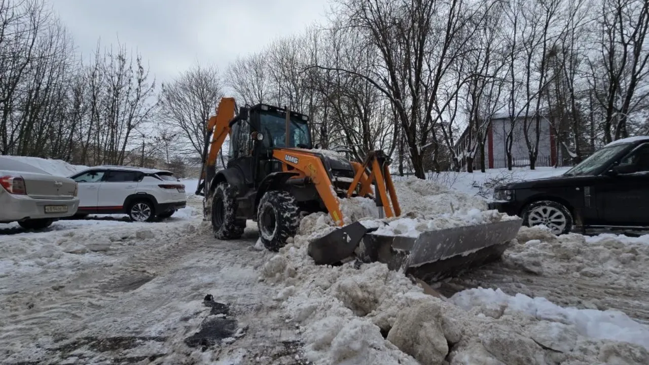 REGIONS/Яна Шаливская