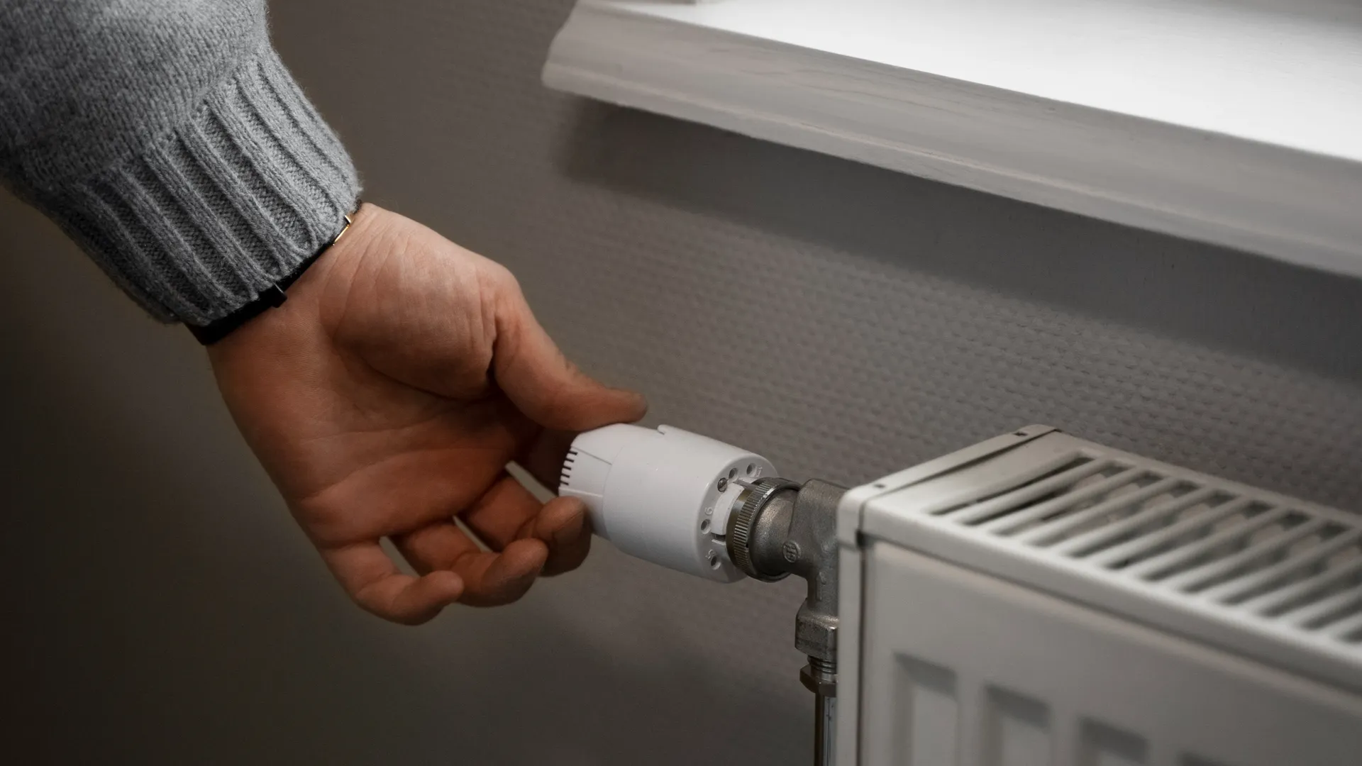 Фото: ru.freepik.com