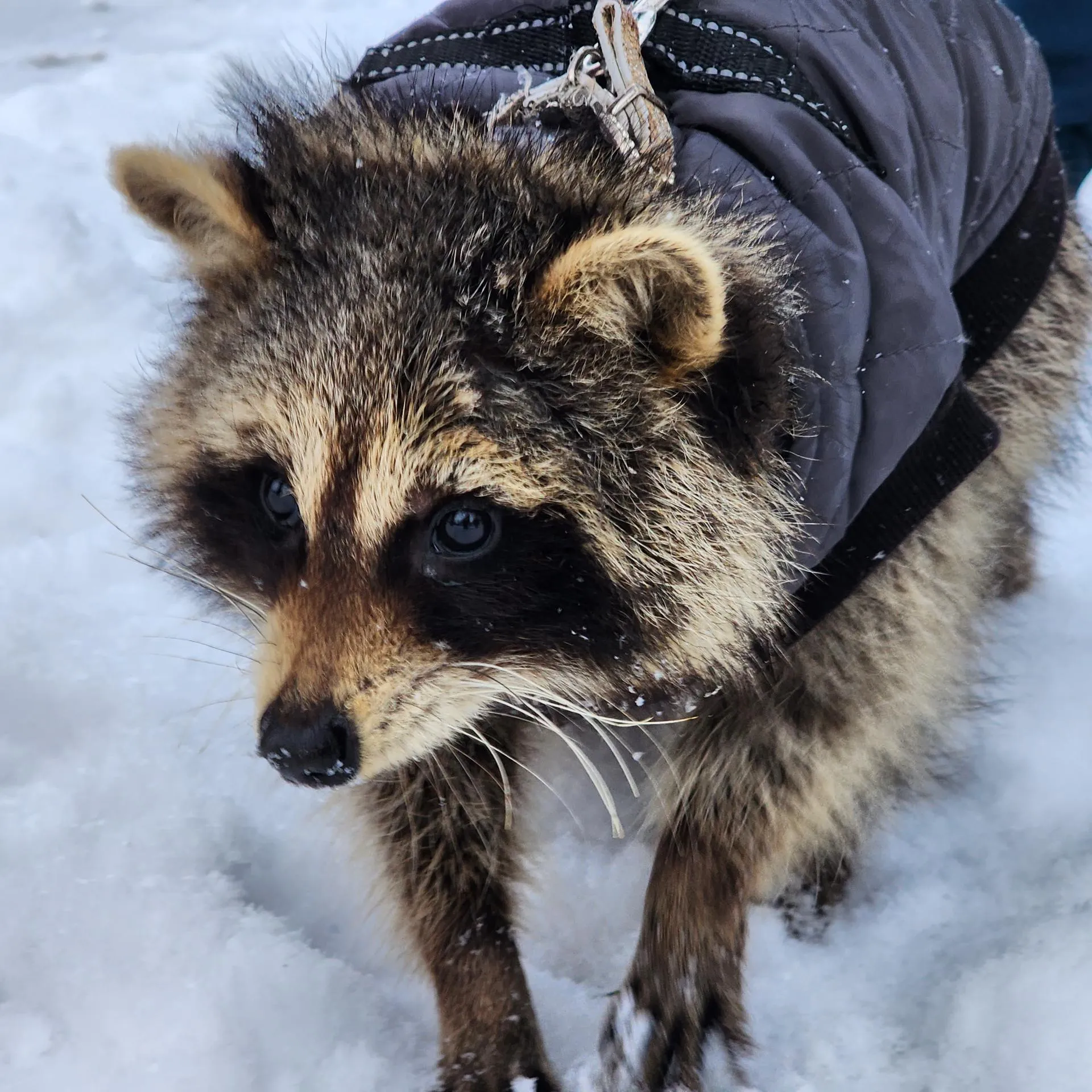 Фото: Юлия Андросова