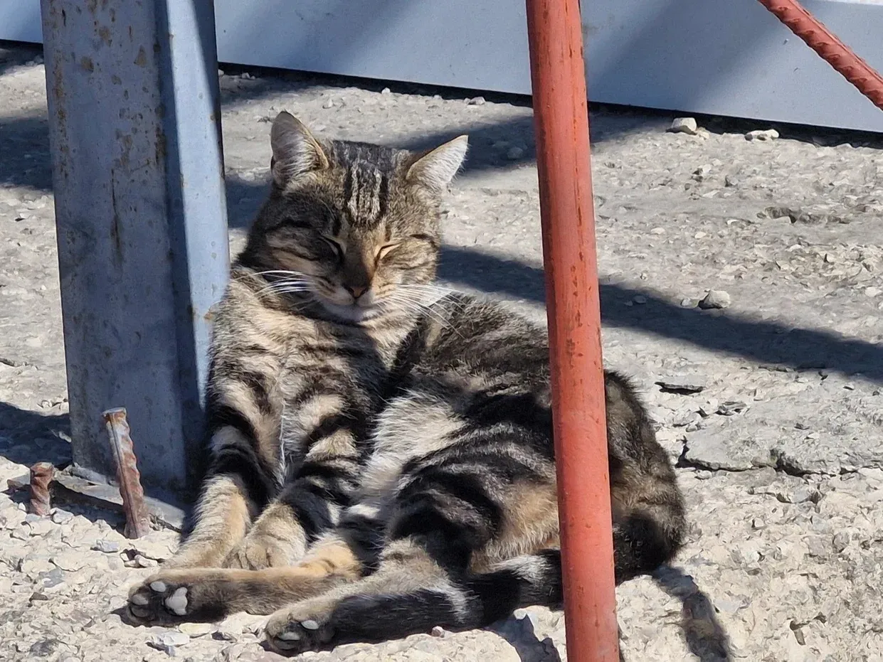 Фото: REGIONS/Наталия Надточая