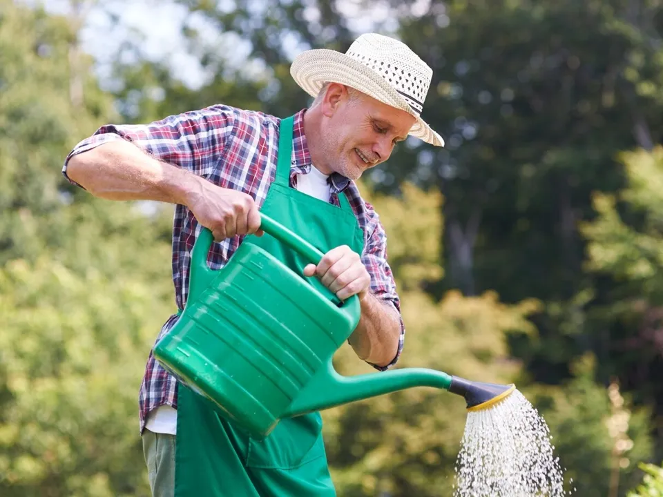 Фото: freepik.com