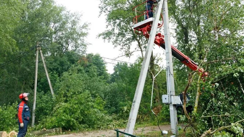 Фото: t.me/sobakin_mn