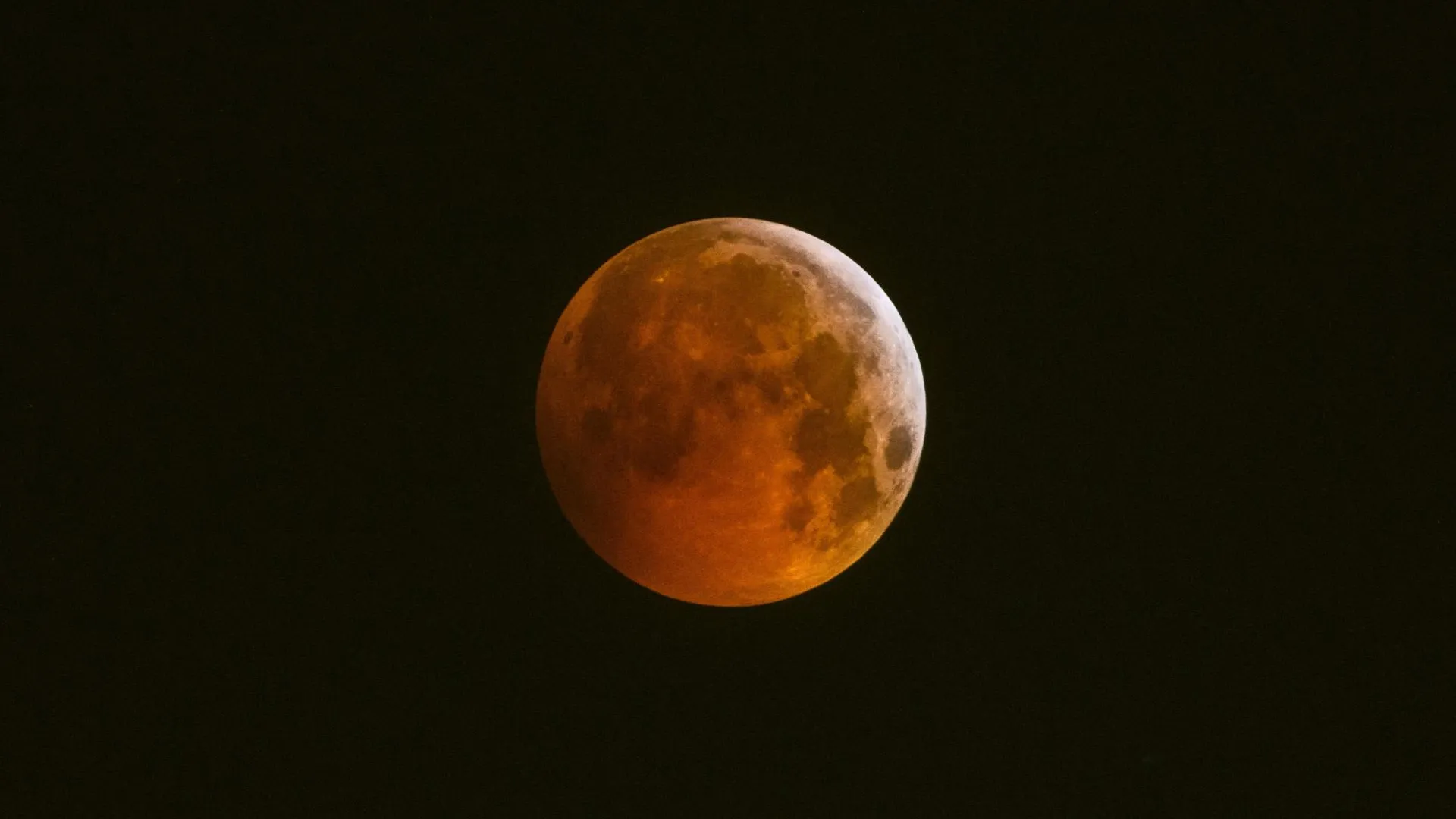 Lilly/http://imagebroker.com/#/search/