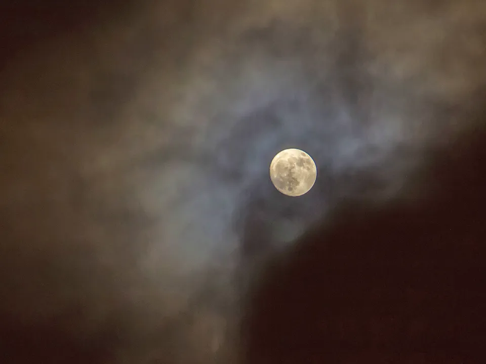 Фото: Антон Кондратюк<br>