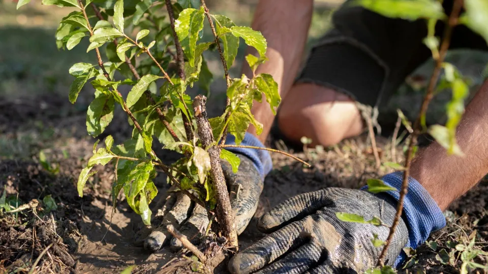 Фото: freepik.com