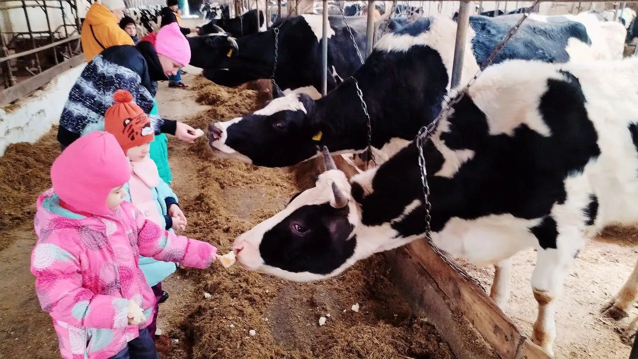 Министерство социального развития Московской области