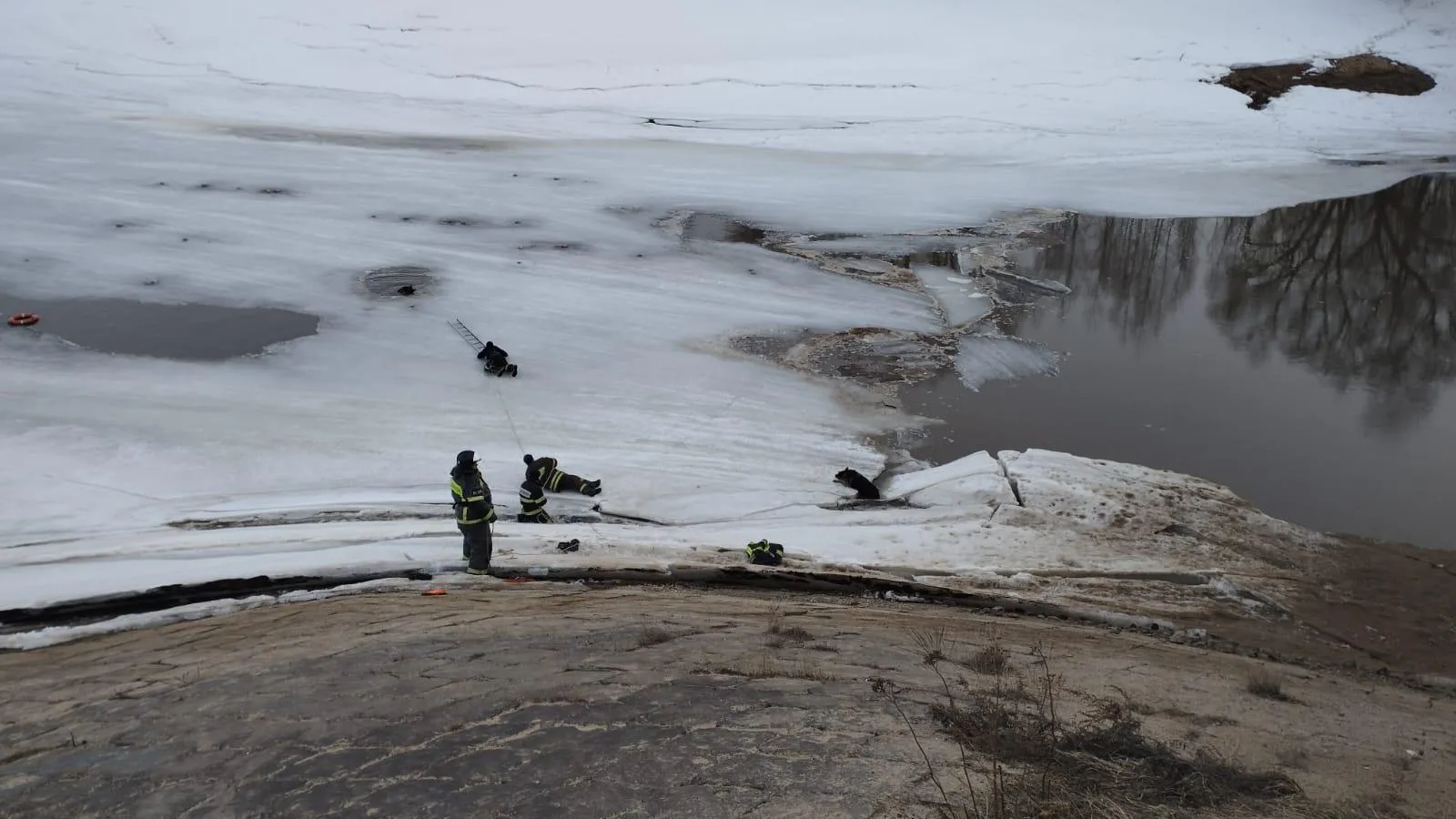 Фото: ГКУ МО «Мособлпожспас»