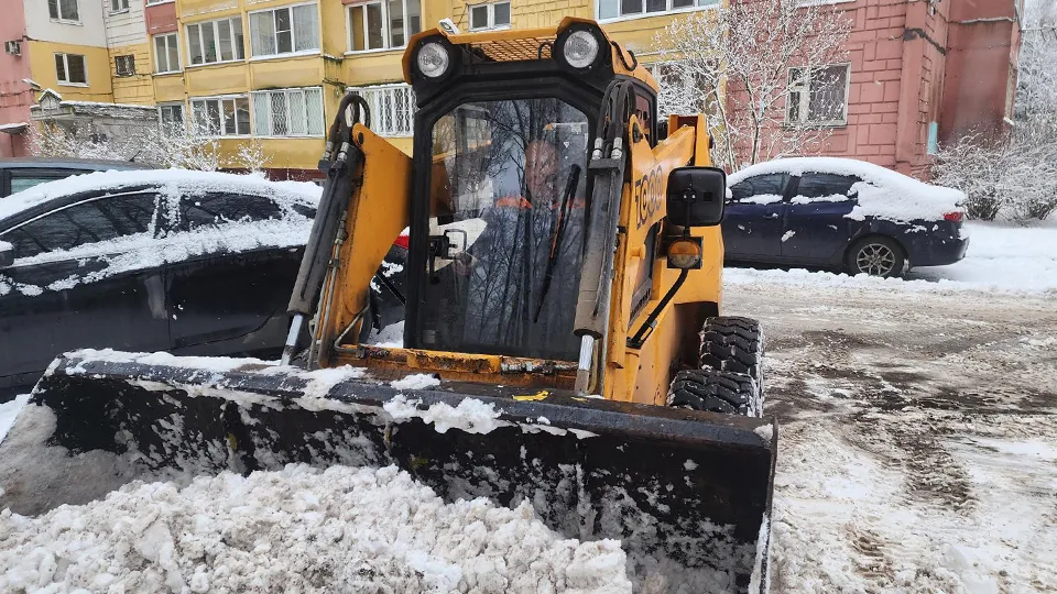 Фото: МедиаБанк Подмосковья/Екатерина Мелкозерова