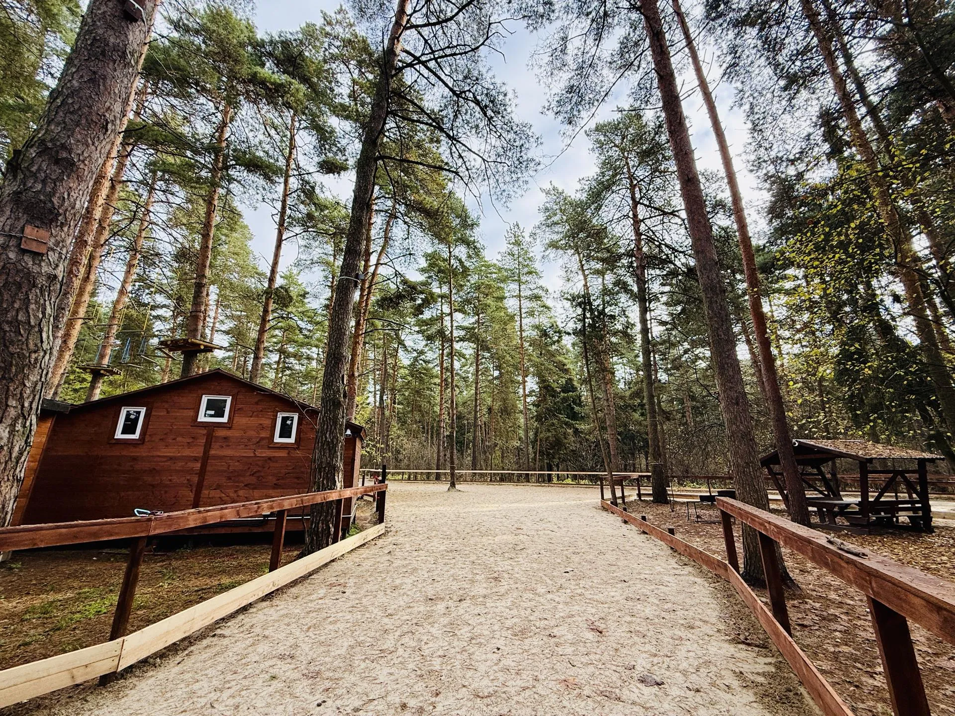 Фото: МедиаБанк Подмосковья/Ольга Стаферова