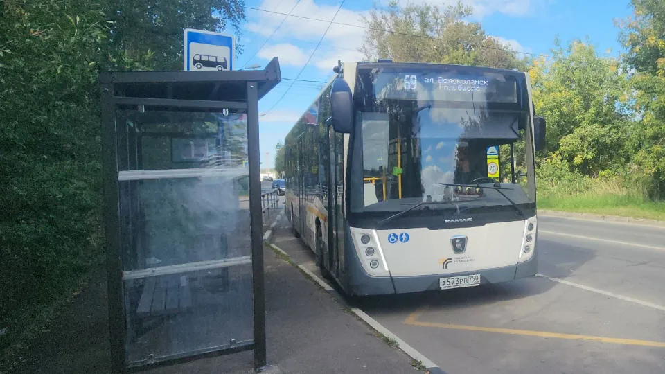 Фото: МедиаБанк Подмосковья/Дмитрий Беденко