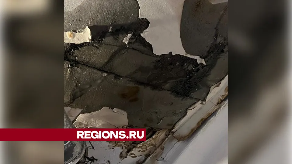 Фото: личный архив Алены Никифоровой