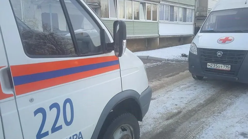 Фото: пресс-служба ГКУ МО «Мособлпожспас»