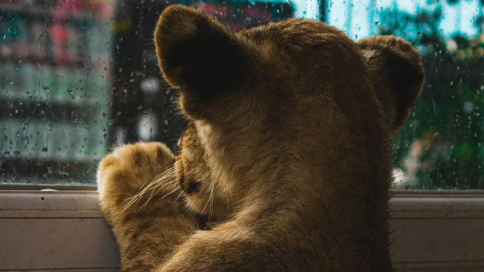 Фото: unsplash.com