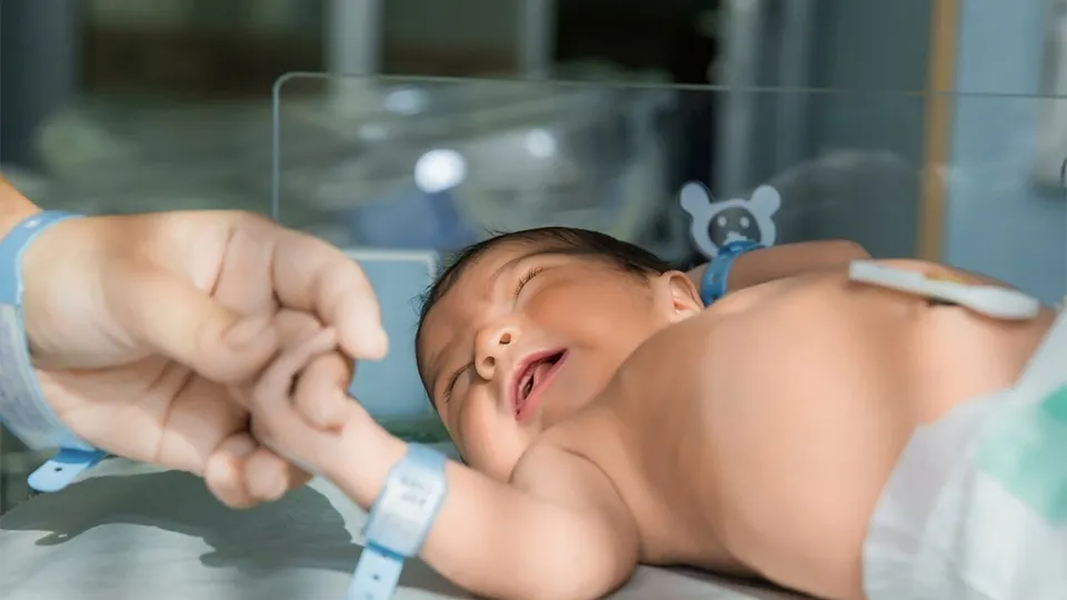 Фото: freepik.com