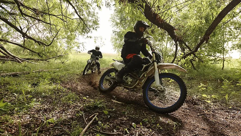 Фото: istockphoto.com/shironosov