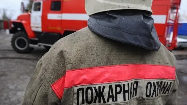 При пожаре в Пушкинском округе пострадали люди