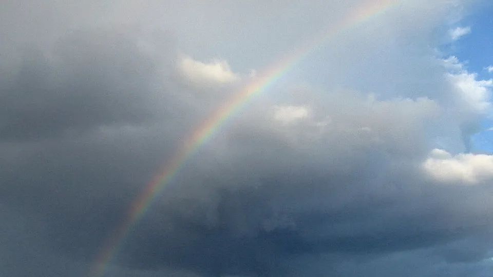 Фото: сommons.wikimedia/Dims