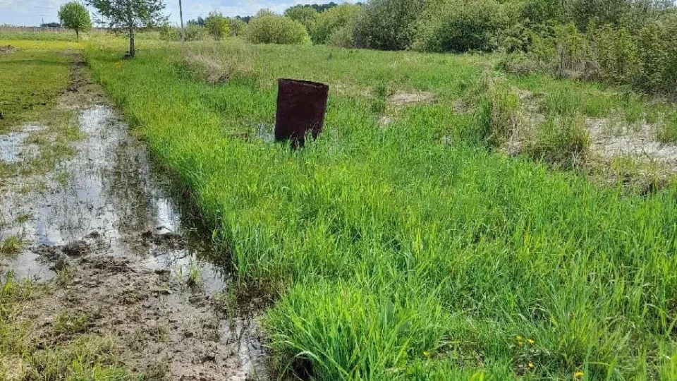 Фото: vmeste.mosreg.ru/Науменкова Ирина