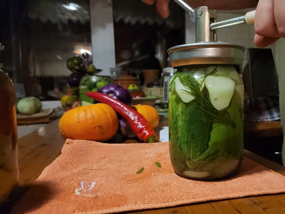 Фото: МедиаБанк Подмосковья/Ксения Пашуто