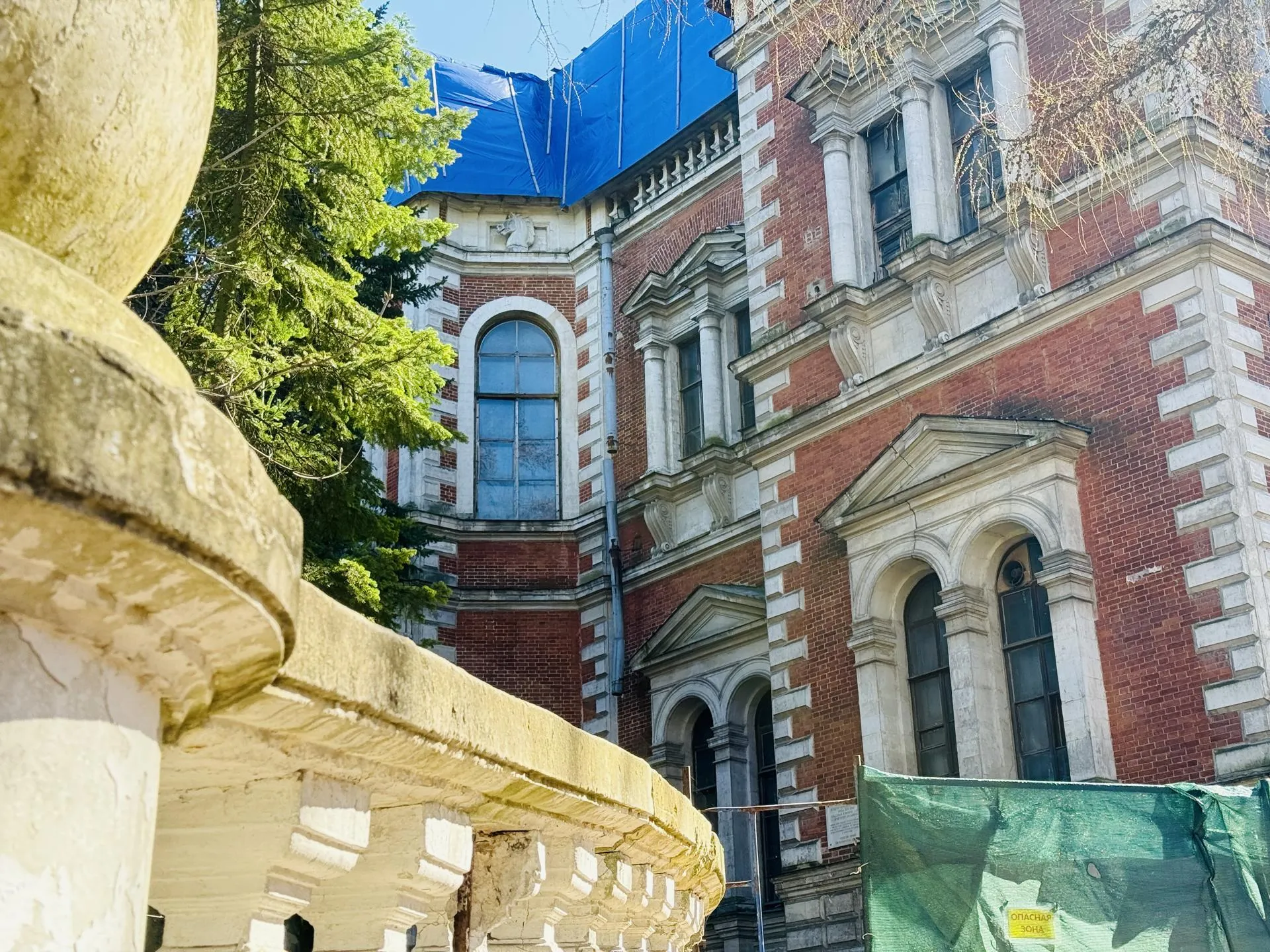 Фото: Ольга Стаферова