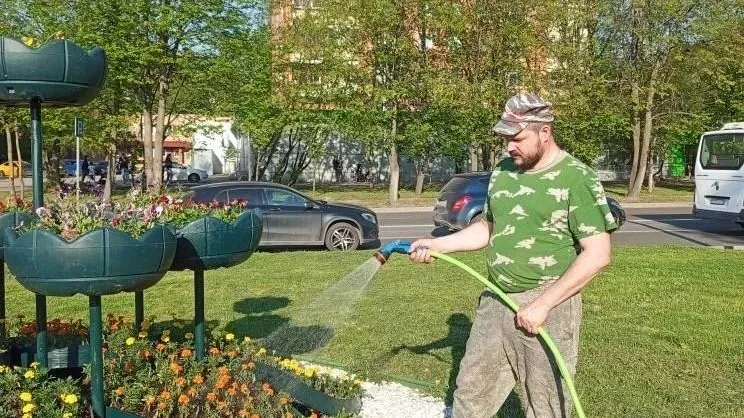 Картинка