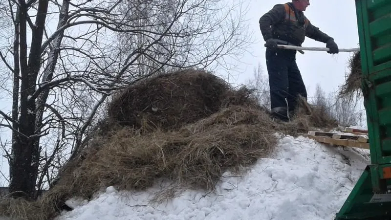 Комитет лесного хозяйства МО