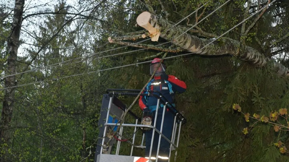 Фото: t.me/rossetimr_ru