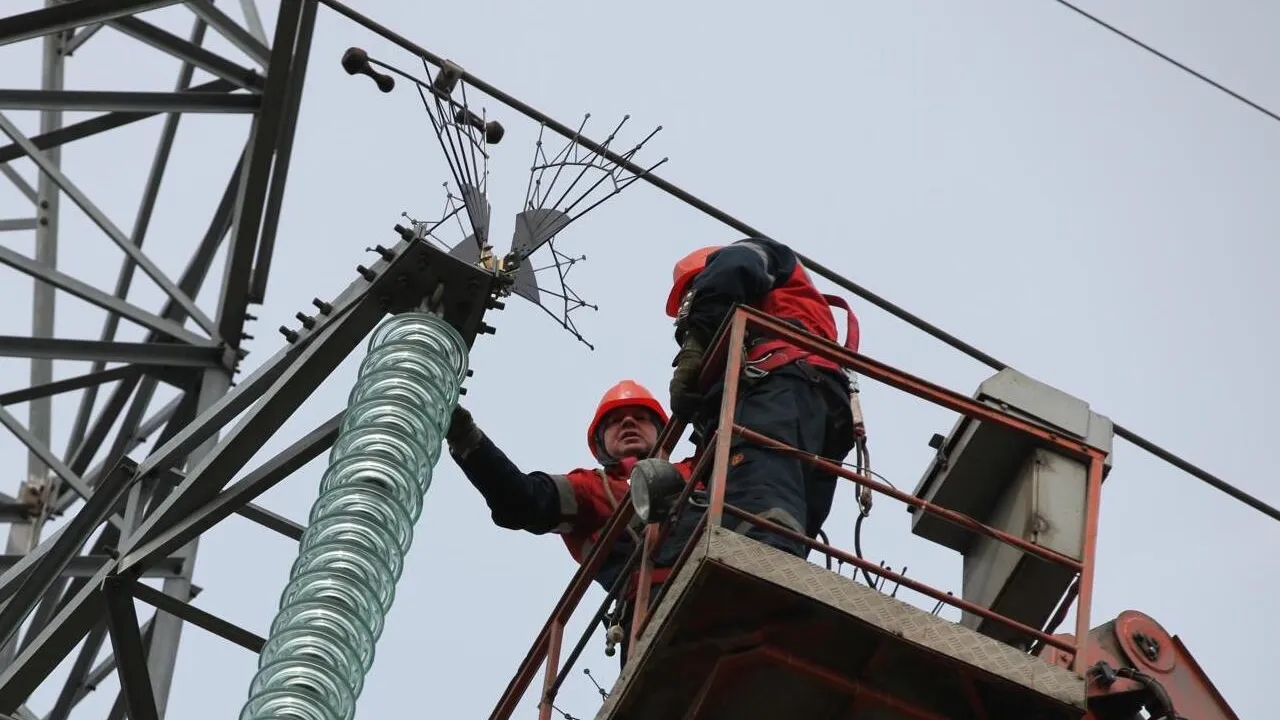 Подмосковные ЛЭП оборудуют устройствами для защиты от птиц