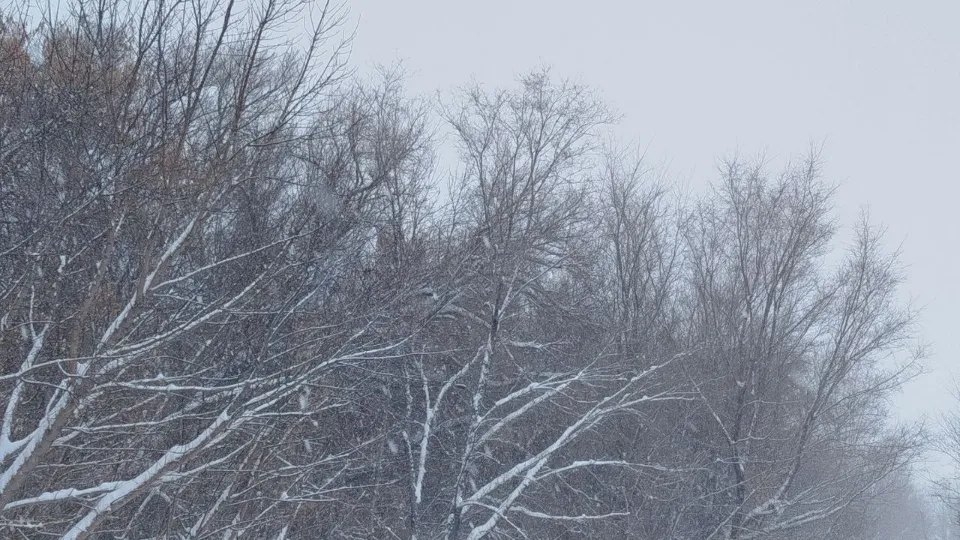 Фото: REGIONS/Юлия Куделькина