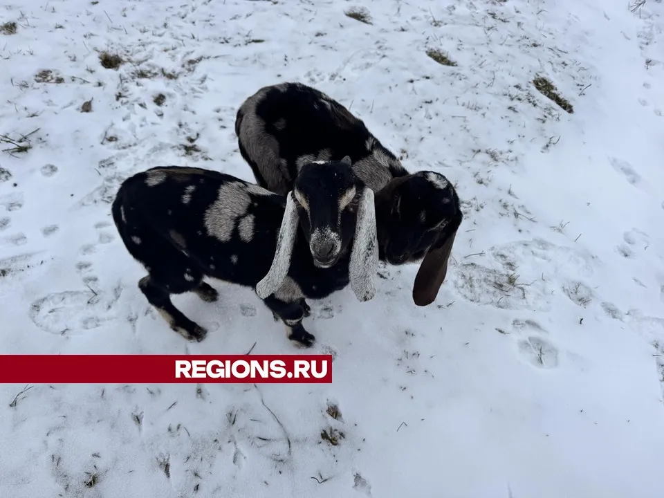 Фото: Татьяна Рунова