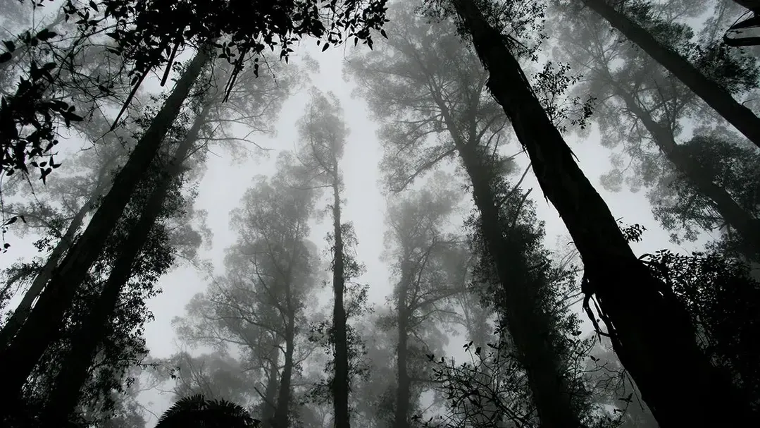 Фото pxhere.com.