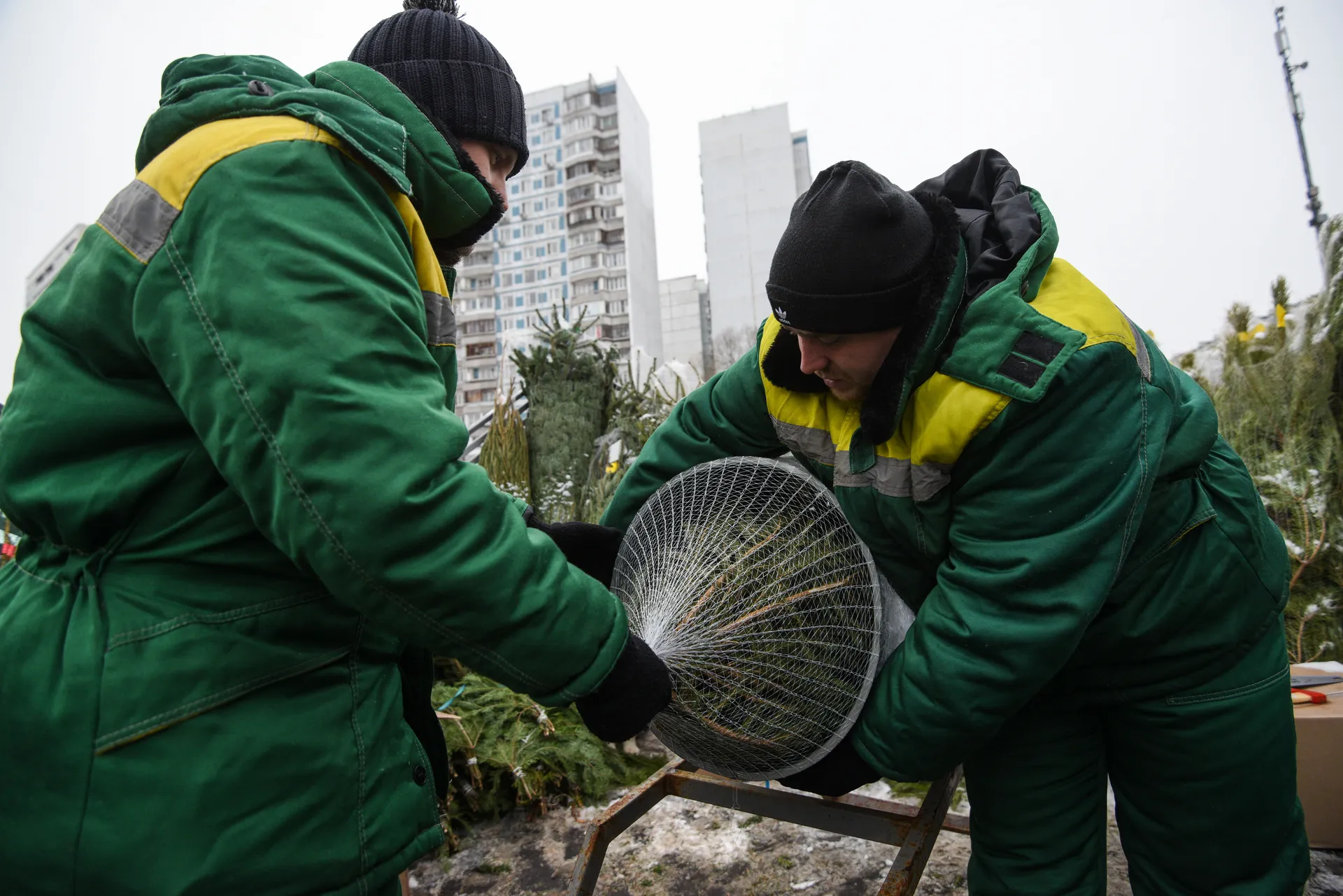 Елочные базары в Москве